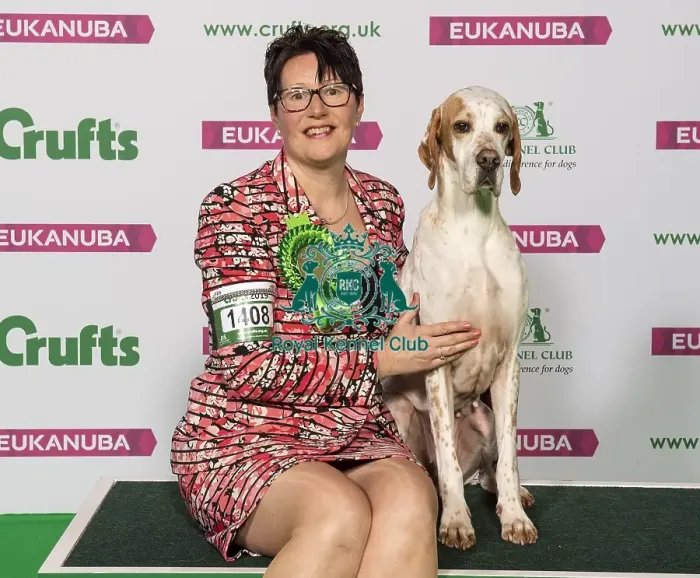 Framed Print : Crufts 2019 - Best of Breed / Gundog Framed Print : Crufts 2019 - Best of Breed / Gundog