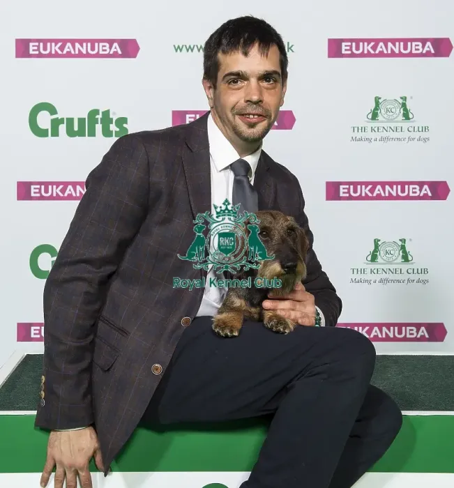 Framed Print : Crufts 2019 - Best of Breed / Hound Framed Print : Crufts 2019 - Best of Breed / Hound