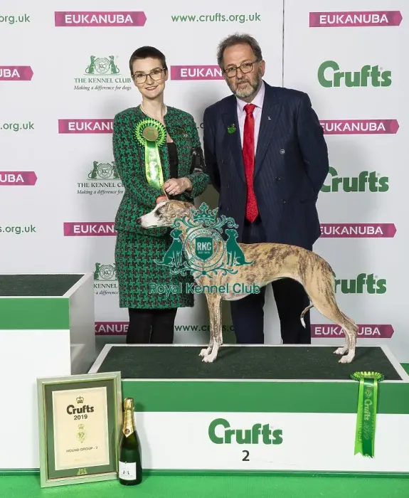 Framed Print : Crufts 2019 - Best of Breed  /  Hound