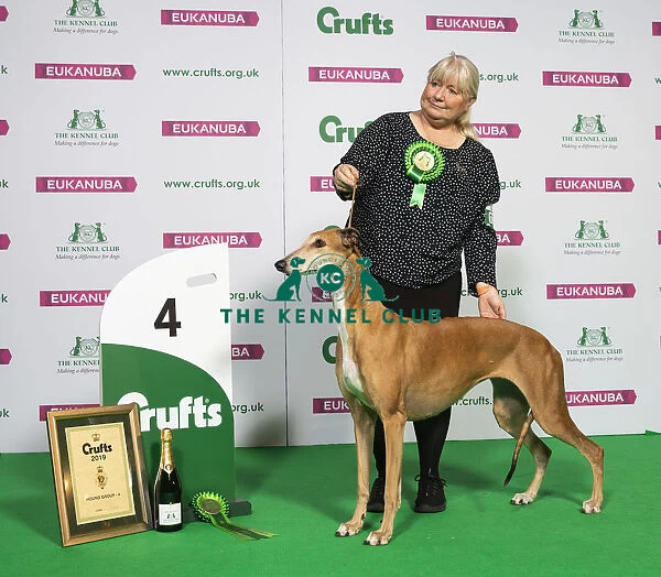 Crufts 2019 - Best of Breed  /  Hound