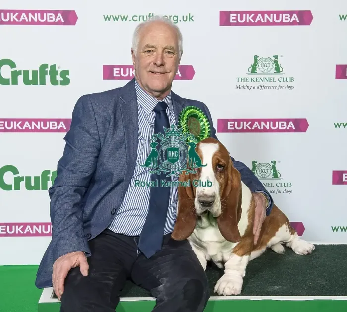 Framed Print : Crufts 2019 - Best of Breed / Hound Framed Print : Crufts 2019 - Best of Breed / Hound
