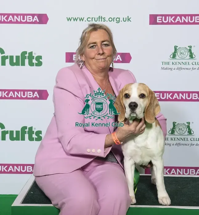 Framed Print : Crufts 2019 - Best of Breed / Hound Framed Print : Crufts 2019 - Best of Breed / Hound