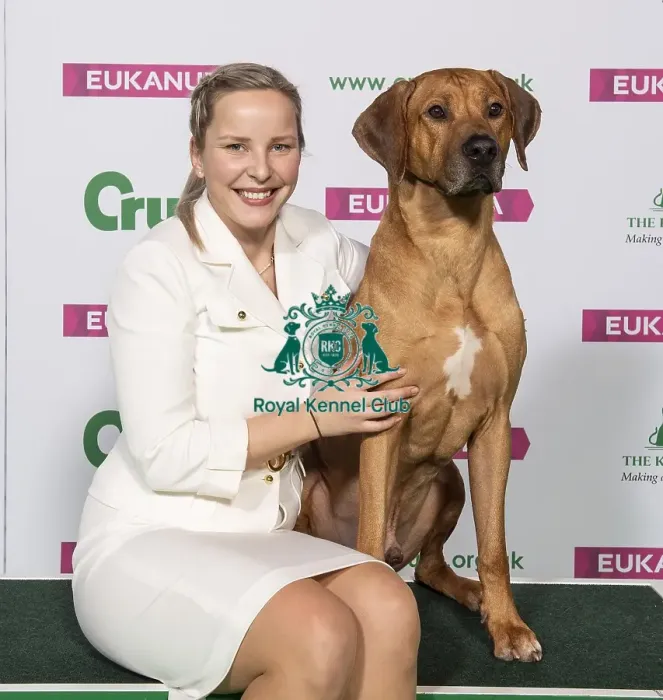 Framed Print : Crufts 2019 - Best of Breed / Hound Framed Print : Crufts 2019 - Best of Breed / Hound