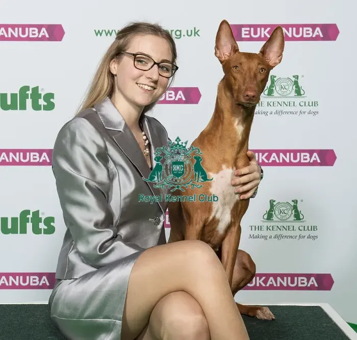 Framed Print : Crufts 2019 - Best of Breed / Hound Framed Print : Crufts 2019 - Best of Breed / Hound