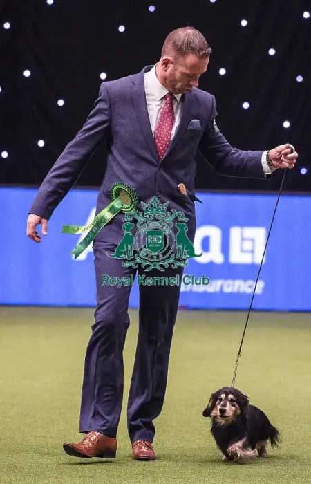 Framed Print : Crufts 2019 - Best of Breed  /  Hound