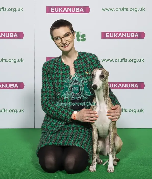 Framed Print : Crufts 2019 - Best of Breed / Hound Framed Print : Crufts 2019 - Best of Breed / Hound