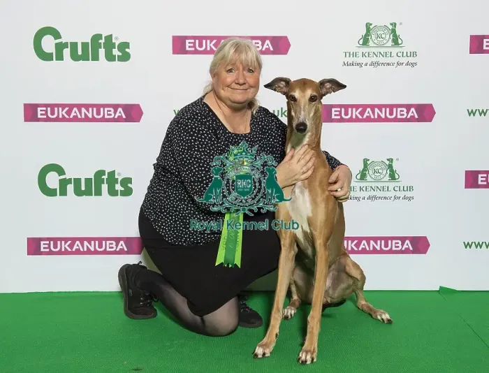 Framed Print : Crufts 2019 - Best of Breed / Hound Framed Print : Crufts 2019 - Best of Breed / Hound