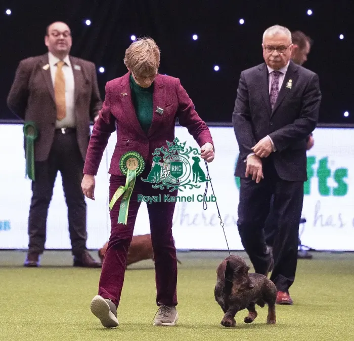 Framed Print : Crufts 2019 - Best of Breed / Hound Framed Print : Crufts 2019 - Best of Breed / Hound