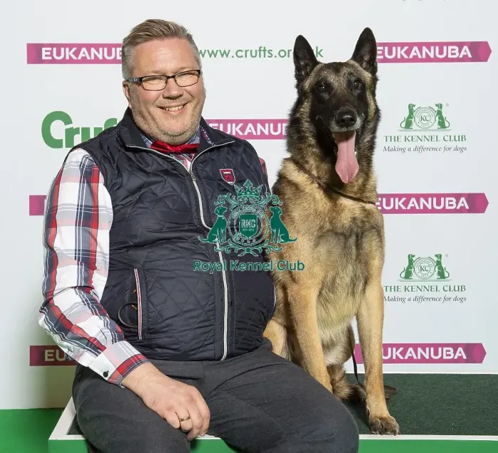 Framed Print : Crufts 2019 - Best of Breed / Pastoral Framed Print : Crufts 2019 - Best of Breed / Pastoral