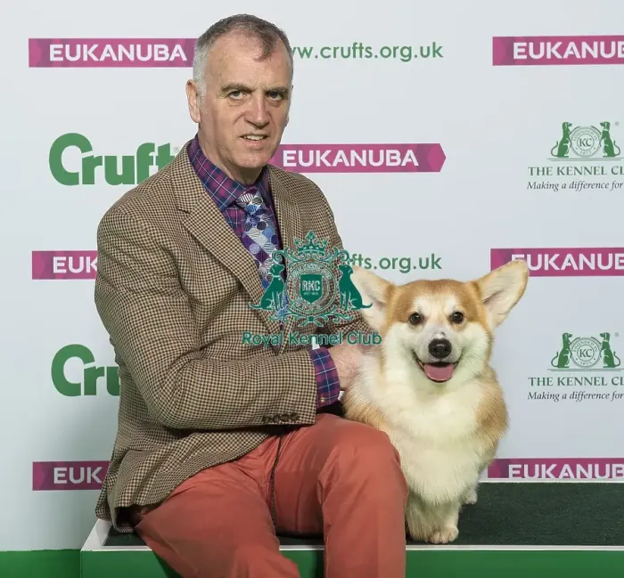 Framed Print : Crufts 2019 - Best of Breed / Pastoral Framed Print : Crufts 2019 - Best of Breed / Pastoral