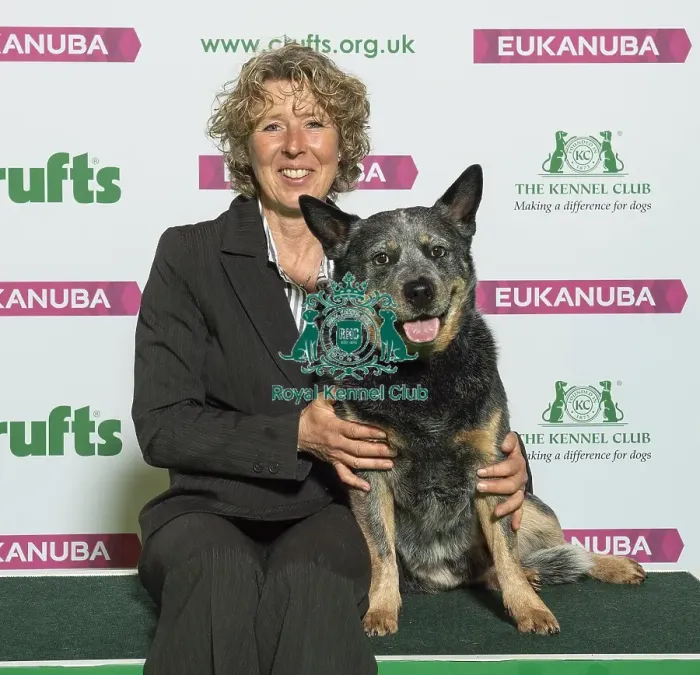 Framed Print : Crufts 2019 - Best of Breed / Pastoral Framed Print : Crufts 2019 - Best of Breed / Pastoral