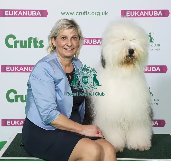 Framed Print : Crufts 2019 - Best of Breed / Pastoral Framed Print : Crufts 2019 - Best of Breed / Pastoral