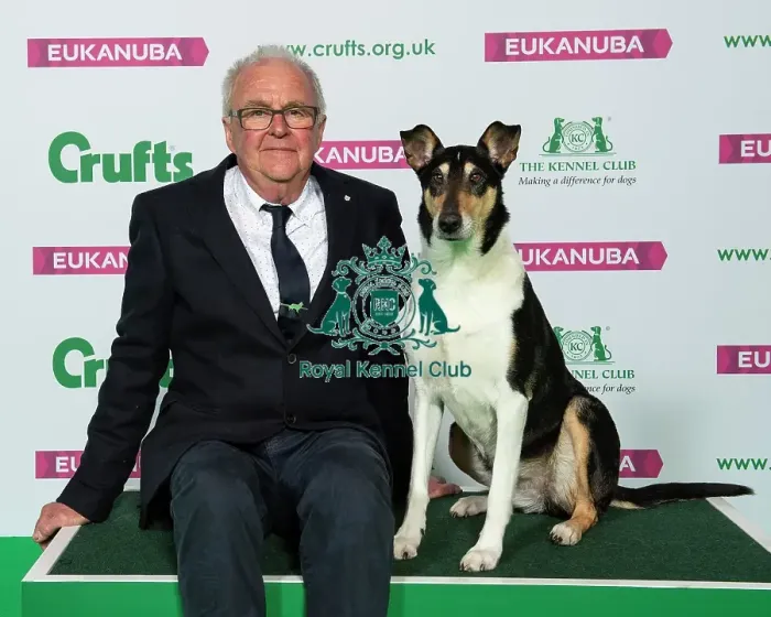 Framed Print : Crufts 2019 - Best of Breed / Pastoral Framed Print : Crufts 2019 - Best of Breed / Pastoral