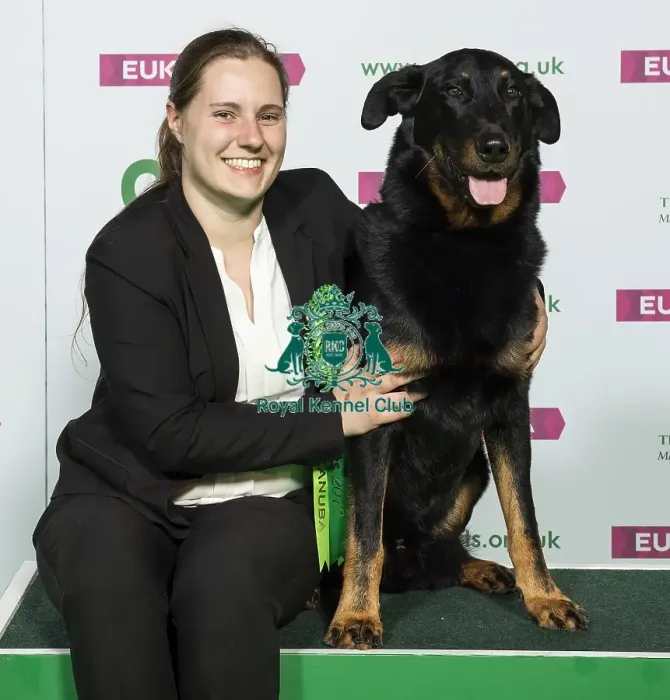 Framed Print : Crufts 2019 - Best of Breed / Pastoral Framed Print : Crufts 2019 - Best of Breed / Pastoral