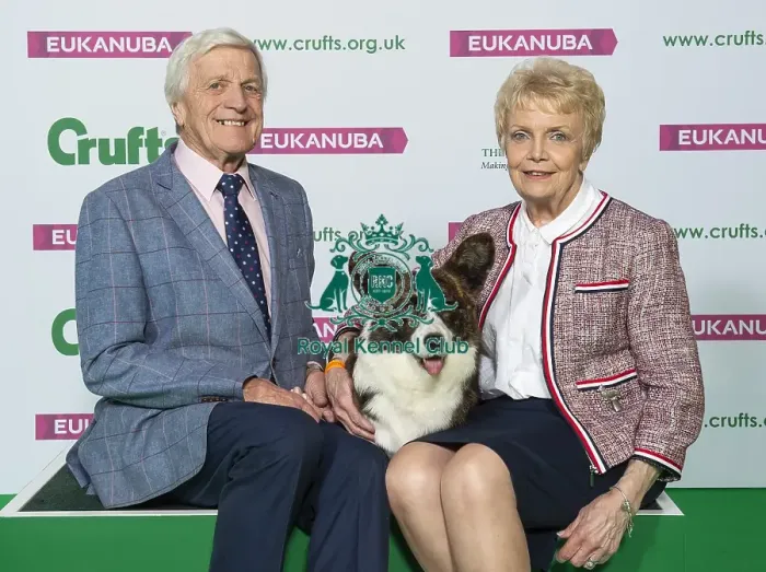 Framed Print : Crufts 2019 - Best of Breed / Pastoral Framed Print : Crufts 2019 - Best of Breed / Pastoral