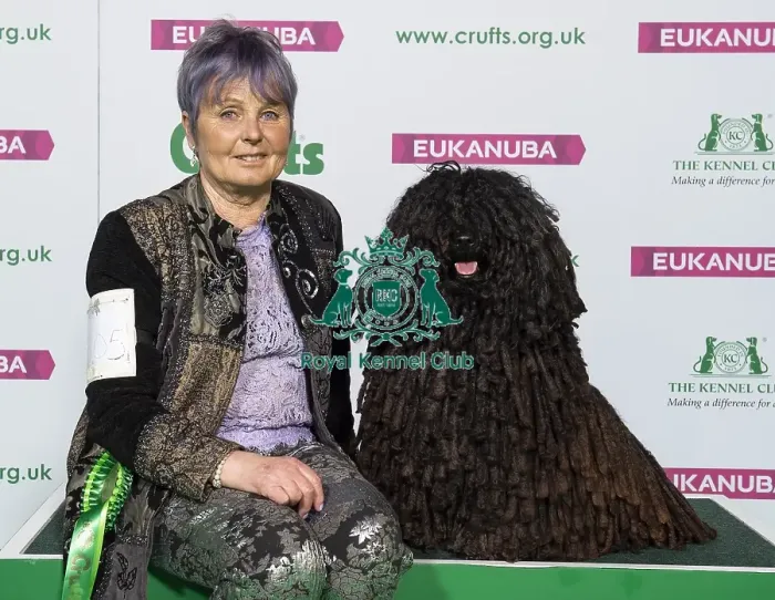 Framed Print : Crufts 2019 - Best of Breed / Pastoral Framed Print : Crufts 2019 - Best of Breed / Pastoral