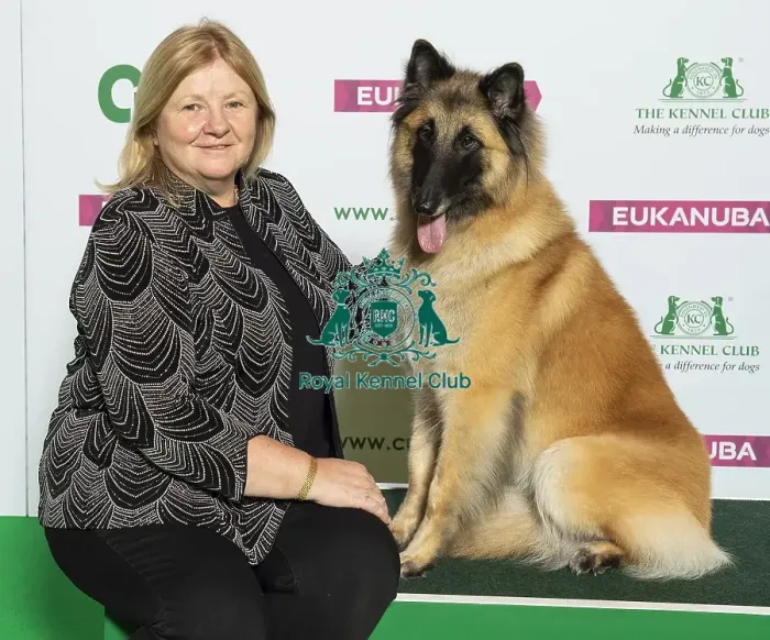 Framed Print : Crufts 2019 - Best of Breed / Pastoral Framed Print : Crufts 2019 - Best of Breed / Pastoral