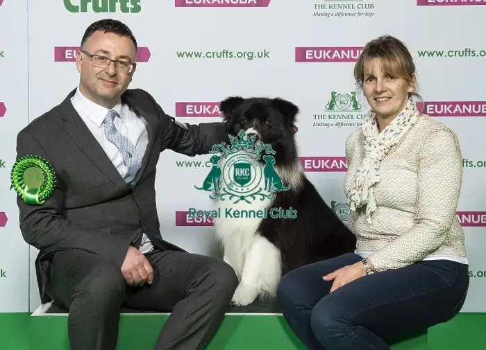 Framed Print : Crufts 2019 - Best of Breed / Pastoral Framed Print : Crufts 2019 - Best of Breed / Pastoral