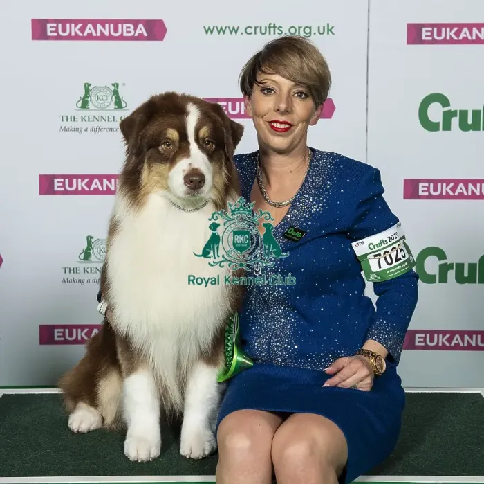 Framed Print : Crufts 2019 - Best of Breed / Pastoral Framed Print : Crufts 2019 - Best of Breed / Pastoral