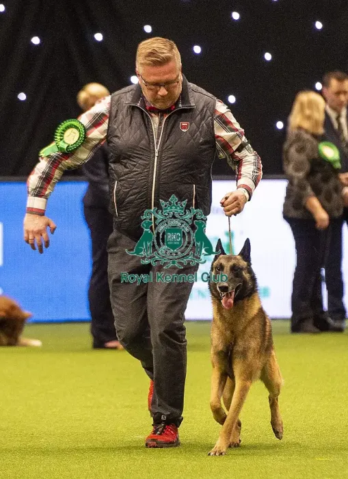 Framed Print : Crufts 2019 - Best of Breed  /  Pastoral