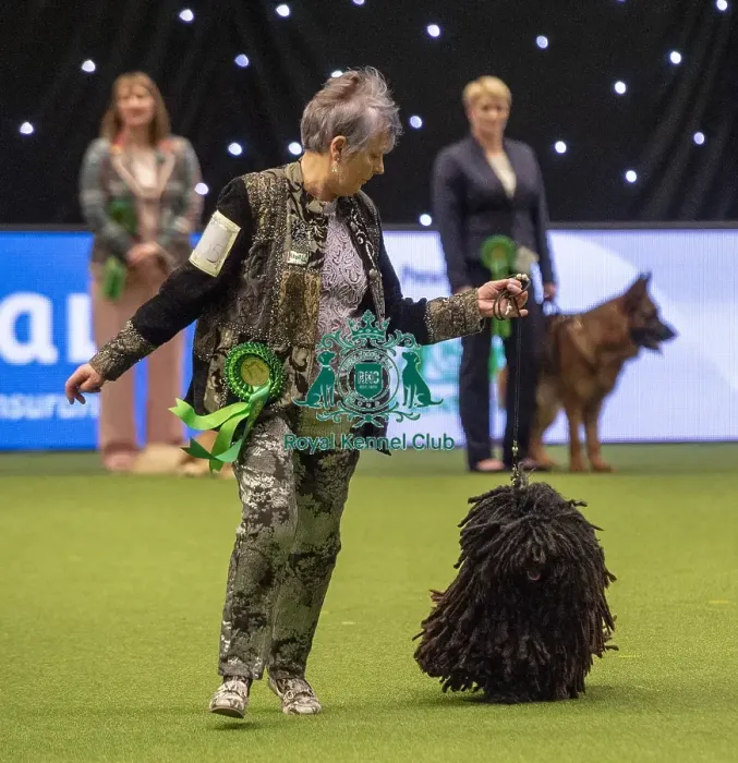 Framed Print : Crufts 2019 - Best of Breed / Pastoral Framed Print : Crufts 2019 - Best of Breed / Pastoral