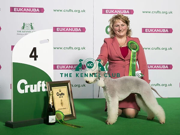 Crufts 2019 - Best of Breed  /  Terrier