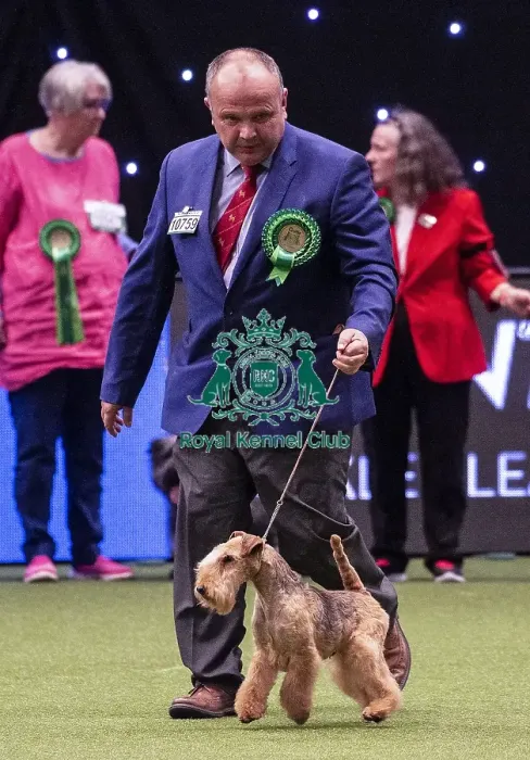 Framed Print : Crufts 2019 - Best of Breed  /  Terrier