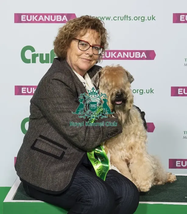 Framed Print : Crufts 2019 - Best of Breed / Terrier Framed Print : Crufts 2019 - Best of Breed / Terrier