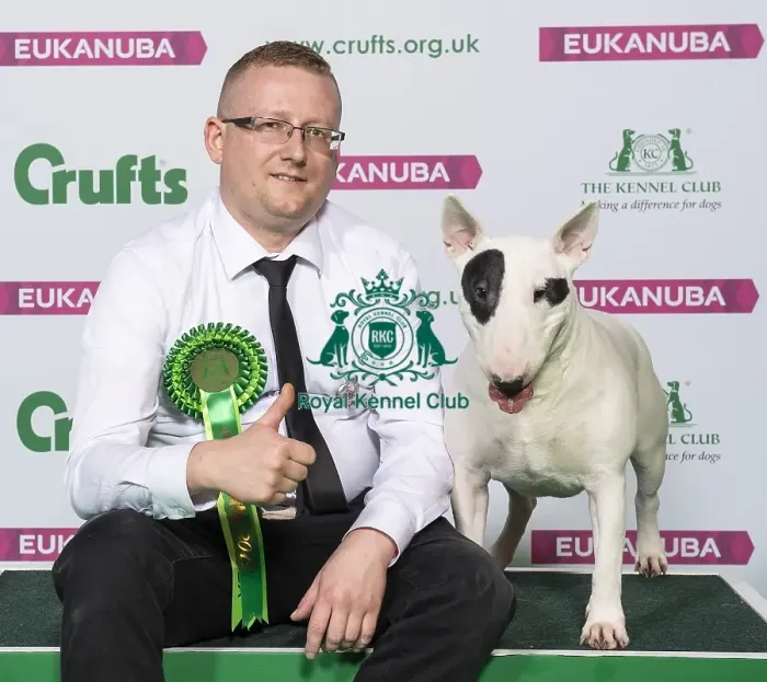 Framed Print : Crufts 2019 - Best of Breed / Terrier Framed Print : Crufts 2019 - Best of Breed / Terrier