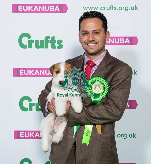 Framed Print : Crufts 2019 - Best of Breed  /  Terrier