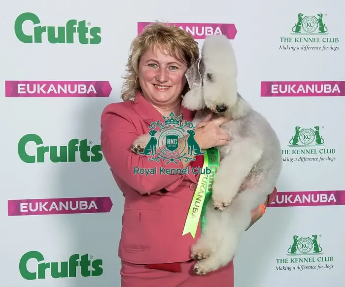 Framed Print : Crufts 2019 - Best of Breed / Terrier Framed Print : Crufts 2019 - Best of Breed / Terrier