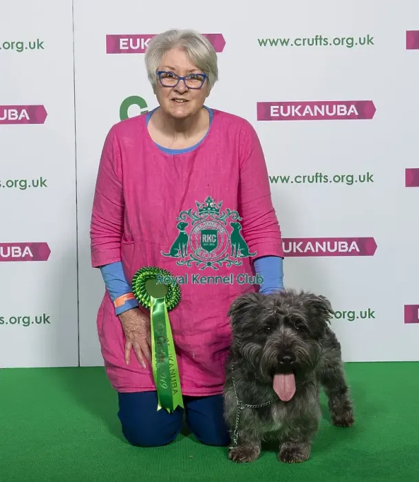 Framed Print : Crufts 2019 - Best of Breed  /  Terrier