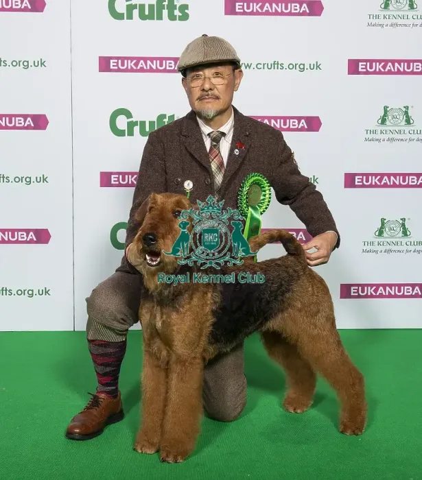 Framed Print : Crufts 2019 - Best of Breed / Terrier Framed Print : Crufts 2019 - Best of Breed / Terrier