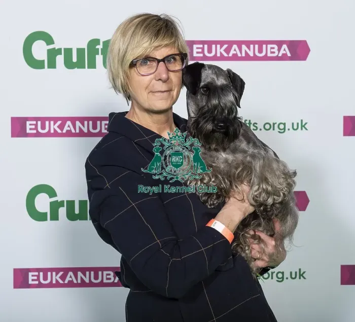 Framed Print : Crufts 2019 - Best of Breed  /  Terrier