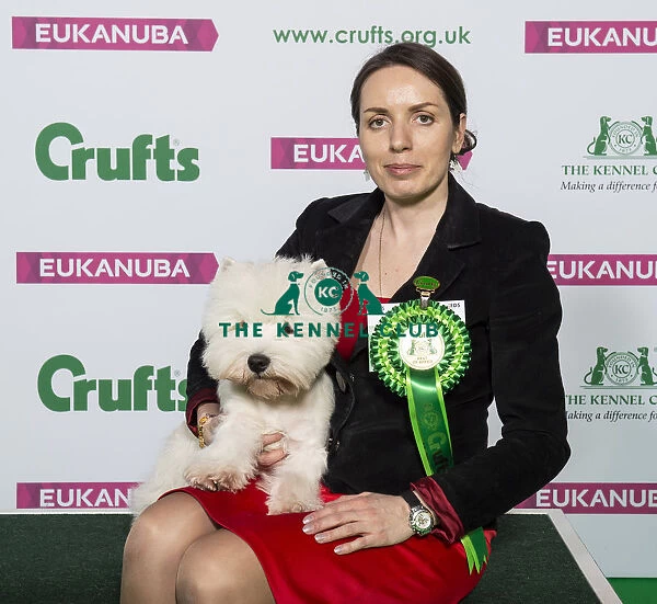 Crufts 2019 - Best of Breed  /  Terrier