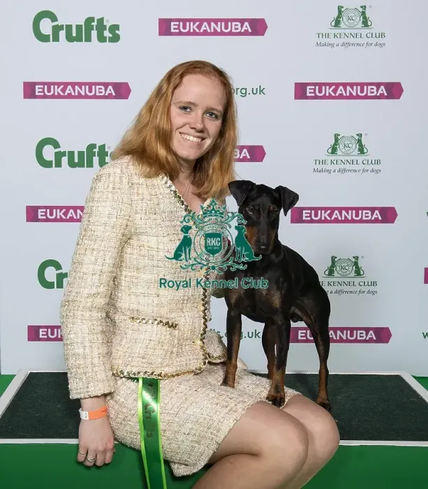 Framed Print : Crufts 2019 - Best of Breed / Terrier Framed Print : Crufts 2019 - Best of Breed / Terrier