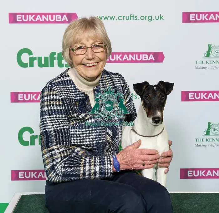 Framed Print : Crufts 2019 - Best of Breed / Terrier Framed Print : Crufts 2019 - Best of Breed / Terrier