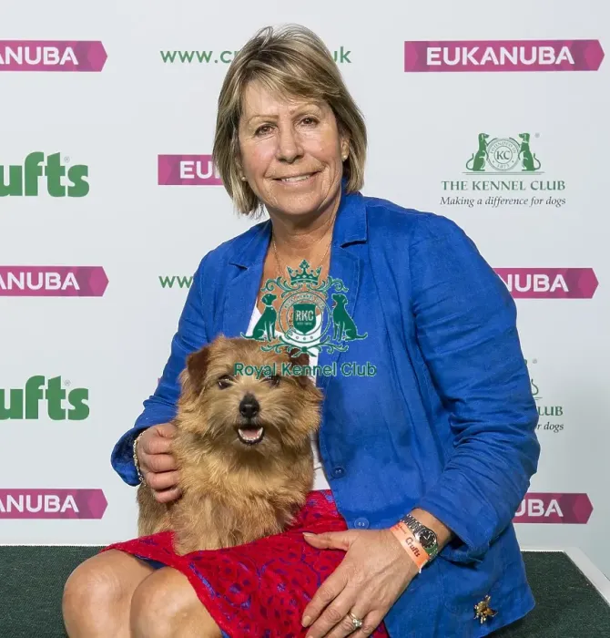 Framed Print : Crufts 2019 - Best of Breed  /  Terrier