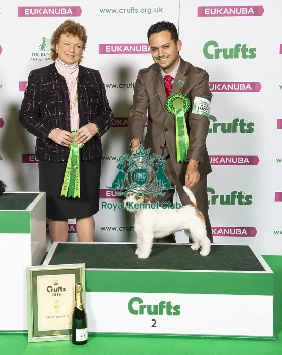 Framed Print : Crufts 2019 - Best of Breed  /  Terrier