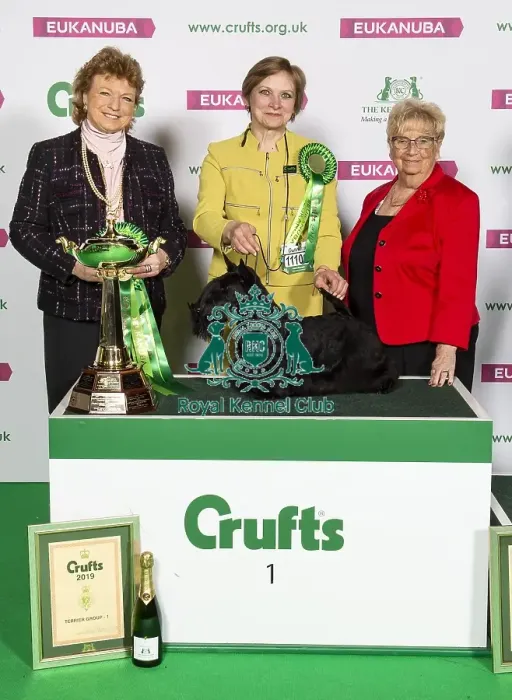 Framed Print : Crufts 2019 - Best of Breed / Terrier Framed Print : Crufts 2019 - Best of Breed / Terrier