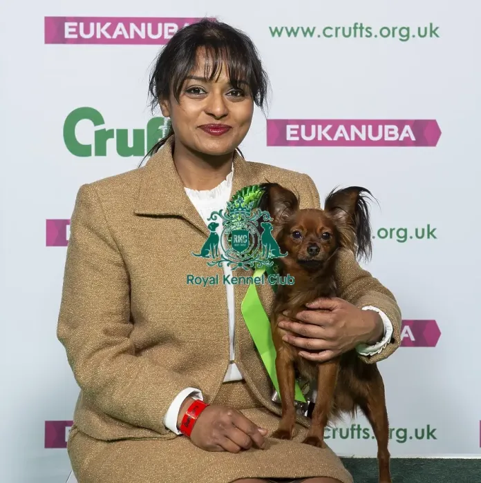 Framed Print : Crufts 2019 - Best of Breed / Toy Framed Print : Crufts 2019 - Best of Breed / Toy