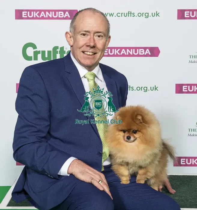 Framed Print : Crufts 2019 - Best of Breed / Toy Framed Print : Crufts 2019 - Best of Breed / Toy