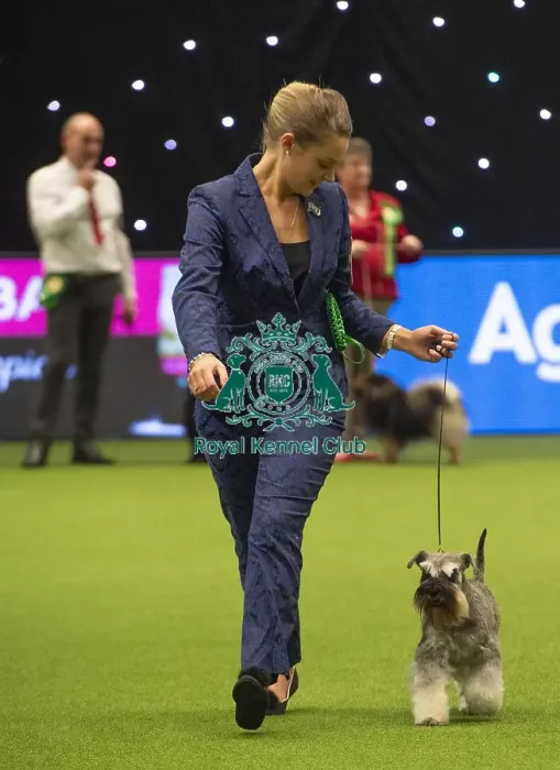Framed Print : Crufts 2019 - Best of Breed  /  Utility