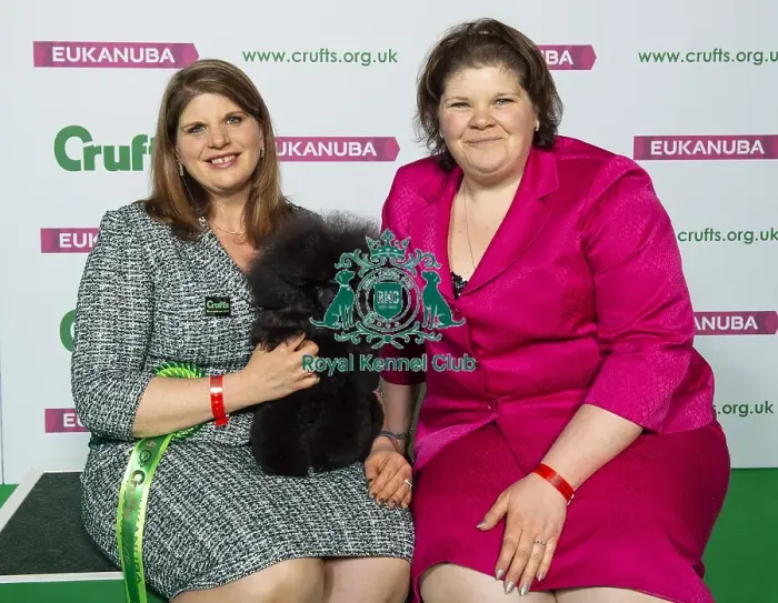 Framed Print : Crufts 2019 - Best of Breed / Utility Framed Print : Crufts 2019 - Best of Breed / Utility