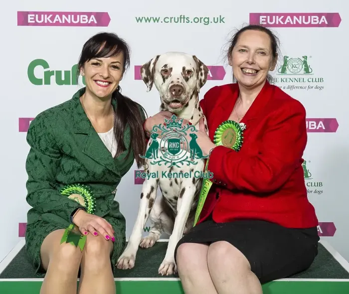 Framed Print : Crufts 2019 - Best of Breed / Utility Framed Print : Crufts 2019 - Best of Breed / Utility