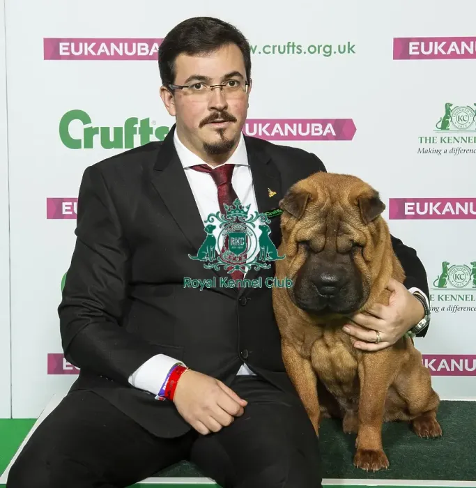 Framed Print : Crufts 2019 - Best of Breed / Utility Framed Print : Crufts 2019 - Best of Breed / Utility