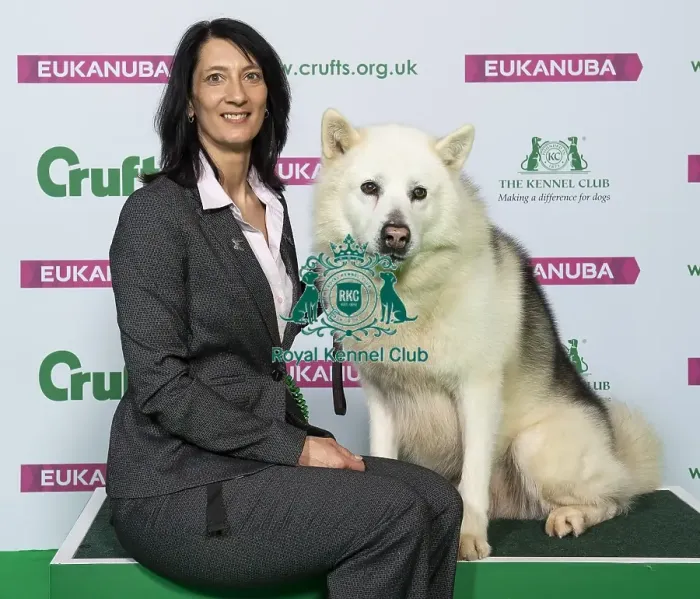 Framed Print : Crufts 2019 - Best of Breed / Working Framed Print : Crufts 2019 - Best of Breed / Working