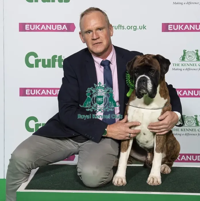 Framed Print : Crufts 2019 - Best of Breed / Working Framed Print : Crufts 2019 - Best of Breed / Working