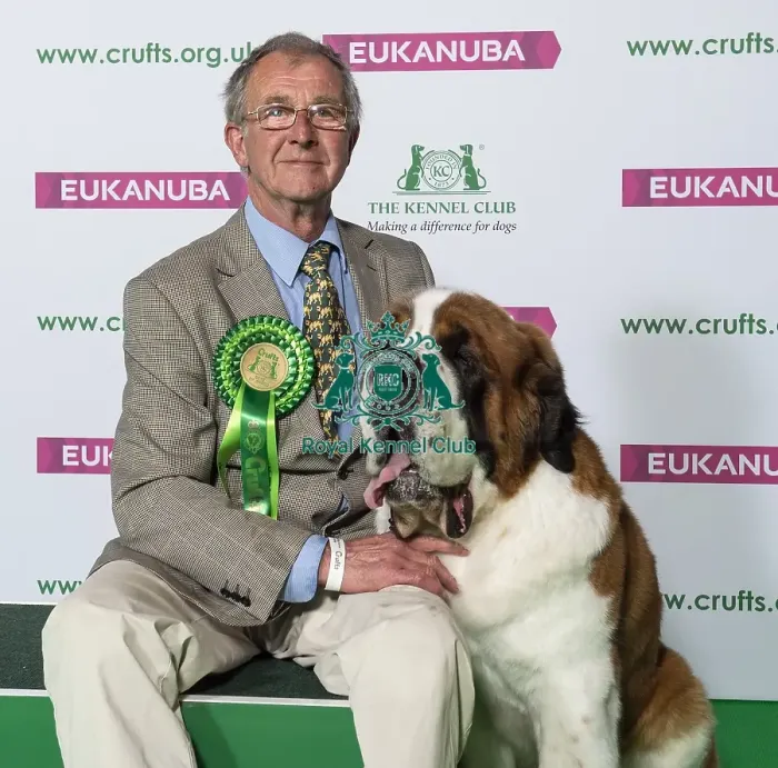 Framed Print : Crufts 2019 - Best of Breed / Working Framed Print : Crufts 2019 - Best of Breed / Working