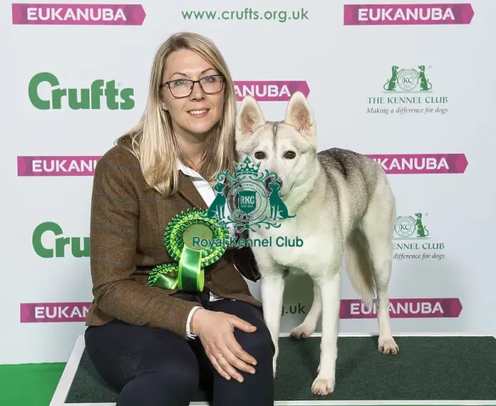 Framed Print : Crufts 2019 - Best of Breed / Working Framed Print : Crufts 2019 - Best of Breed / Working